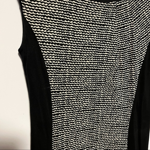 Ann Taylor LOFT Petites Dress Sleeveless Scoop Neck Princess Seam Wave Print - Picture 3 of 7